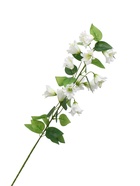 Цветы искусственные «Колокольчик Кампанулла», d=5 см, h=96 см, белые  (артикул 10935339)  большой выбор товаров оптом и в розницу по низким ценам с доставкой