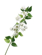 Цветы искусственные «Клематис Эллен», d=5 см, h=96 см, белые  (артикул 10935341)  большой выбор товаров оптом и в розницу по низким ценам с доставкой