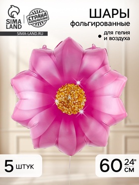 Воздушный шар фольгированный 24