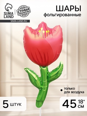 Воздушный шар фольгированный 18