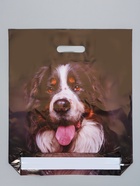 Пакет «Барон», полиэтиленовый с вырубной ручкой 40×47 см, 45 мкм  (артикул 10988367)  большой выбор товаров оптом и в розницу по низким ценам с доставкой