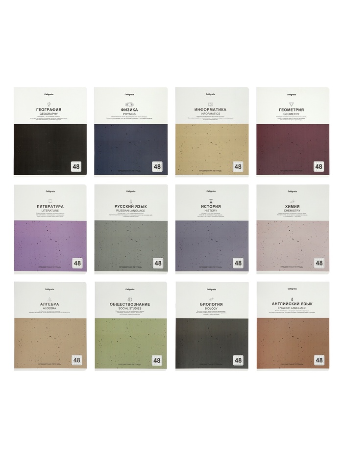 Комплект 12 предметных тетрадей 48 листов, справочная информация, 60 г, мраморные, пастельные - Фото 1