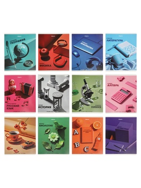 Комплект 12 предметных тетрадей 48 листов, справочная информация, 60 г