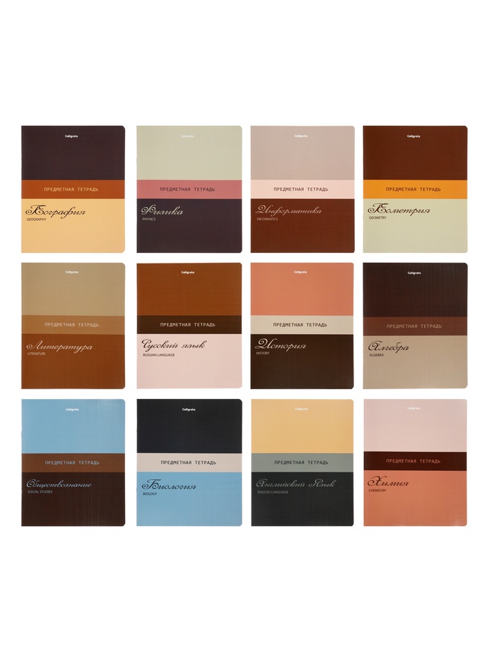 Комплект 12 предметных тетрадей 48 листов, справочная информация, 60 г - Фото 1