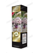 Гортензия крупнолистовая Люкс Френч Болеро Пинк 1 шт  (артикул 10995306)  большой выбор товаров оптом и в розницу по низким ценам с доставкой