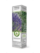 Лаванда узколистная Манстед Вариети 1 шт  (артикул 10995308)  большой выбор товаров оптом и в розницу по низким ценам с доставкой