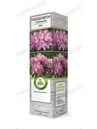 Рододендрон гибридный с повышенной морозостойкостью Эйя 1 шт 10995322 - фото 9006560