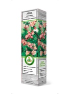 Айва красивая (Хеномелес) Фэлконет Скарлет 1  (артикул 10995333)  большой выбор товаров оптом и в розницу по низким ценам с доставкой