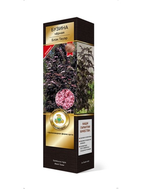 Бузина черная Люкс Блэк Тауэр 1