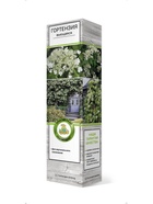 Гортензия вьющаяся 1  (артикул 10995341)  большой выбор товаров оптом и в розницу по низким ценам с доставкой