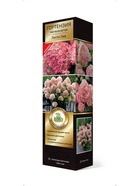 Гортензия метельчатая (Серия Патио, высота кустарника 50-100 см) Люкс Литтл Лав 1  (артикул 10995343)  большой выбор товаров оптом и в розницу по низким ценам с доставкой