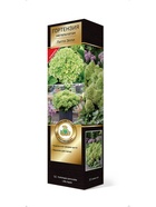 Гортензия метельчатая (Серия Патио, высота кустарника 50-100 см) Люкс Литтл Эппл 1  (артикул 10995345)  большой выбор товаров оптом и в розницу по низким ценам с доставкой