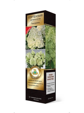 Гортензия метельчатая (Серия Патио, высота кустарника 50-100 см) Люкс Панорама 1