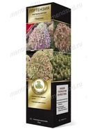 Гортензия метельчатая (Серия Патио, высота кустарника 50-100 см) Люкс Пиксио 1  (артикул 10995351)  большой выбор товаров оптом и в розницу по низким ценам с доставкой