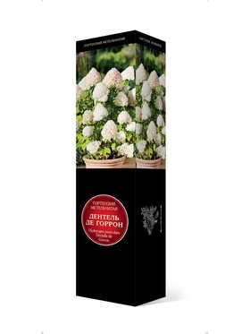 Гортензия метельчатая Люкс Дентель Де Горрон 1