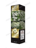 Дейция гибридная (Серия Патио) Люкс Юки Сноуфлейк 1 10995361 - фото 9006587