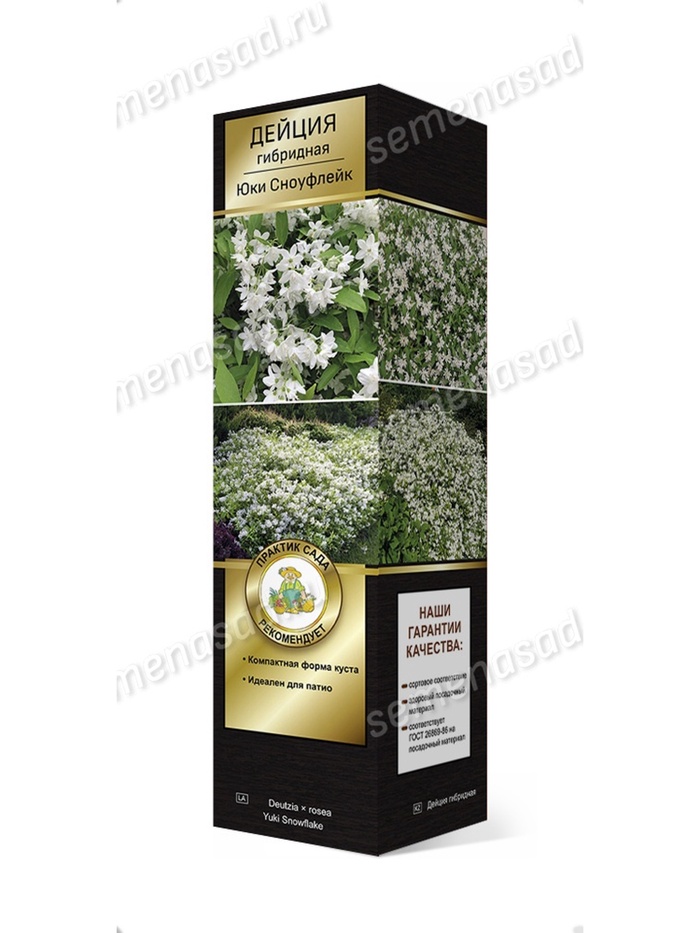 Дейция гибридная (Серия Патио) Люкс Юки Сноуфлейк 1