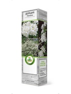 Дейция Лемуана 1 10995362 - фото 9006588