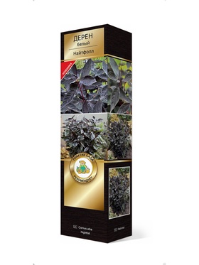 Дерен белый Люкс Найтфолл 1