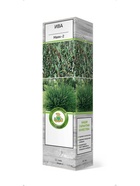 Ива Маяк-2(Фейерверк) 1 10995368 - фото 9006593