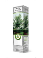 Клён сахаристый Виери Лациниатум 1 10995372 - фото 9006595