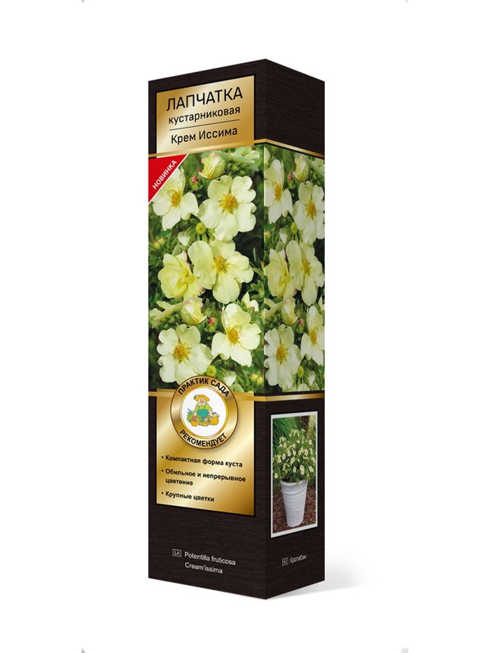 Лапчатка кустарниковая Люкс Крем Иссима 1