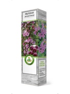 Яблоня декоративная Маковецкого 1  (артикул 10995391)  большой выбор товаров оптом и в розницу по низким ценам с доставкой