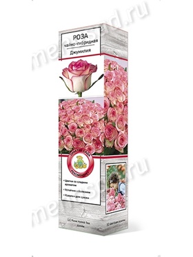 Роза чайно-гибридная Джумилия 1