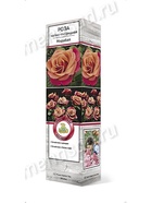 Роза чайно-гибридная Мирабай 1  (артикул 10995416)  большой выбор товаров оптом и в розницу по низким ценам с доставкой