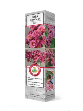 Роза флорибунда Аои 1