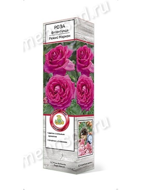 Роза флорибунда Режис Маркон 1