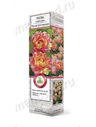 Роза парковая Роз де Цистерсьен 1  (артикул 10995453)  большой выбор товаров оптом и в розницу по низким ценам с доставкой