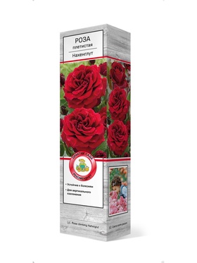 Роза плетистая Нахеглут 1