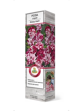 Роза спрей Флеш Найт 1