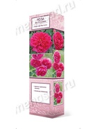 Роза английская парковая Леди оф Меггинч 1  (артикул 10995475)  большой выбор товаров оптом и в розницу по низким ценам с доставкой