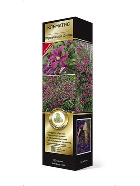 Клематис ботанический Люкс Стровберри Филдс 1