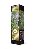 Клематис ботанический Люкс Фэйри Слипперс 1  (артикул 10995493)  большой выбор товаров оптом и в розницу по низким ценам с доставкой