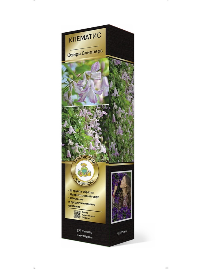 Клематис ботанический Люкс Фэйри Слипперс 1