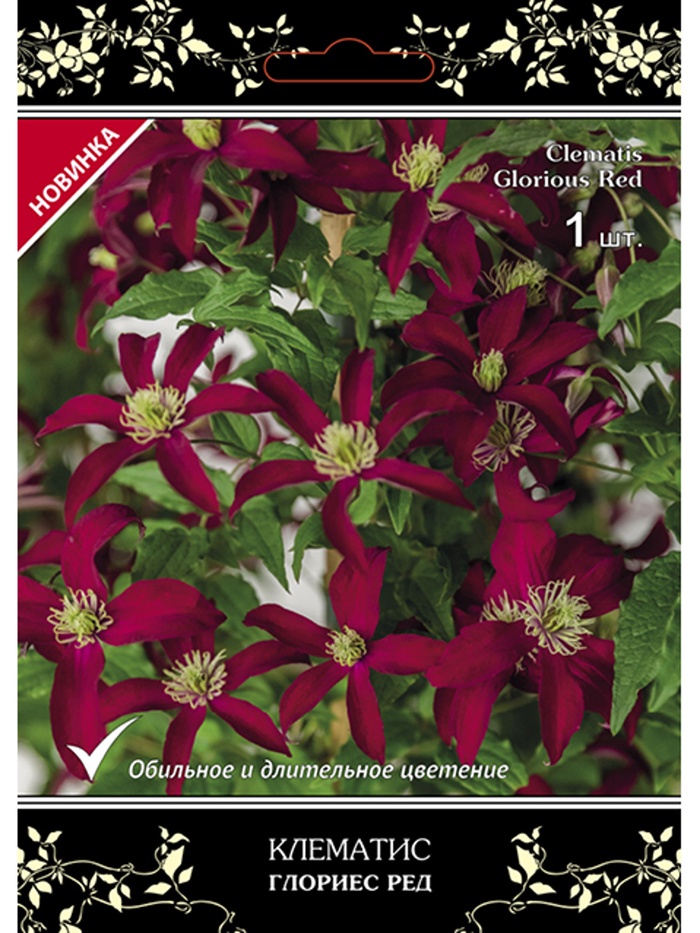 Клематис ботанический (капер) Люкс Глориес Ред 1