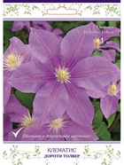 Клематис крупноцветковый (капер) Дороти Толвер 1  (артикул 10995511)  большой выбор товаров оптом и в розницу по низким ценам с доставкой