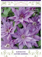 Клематис крупноцветковый (капер) Кэтлин Данфорд 1  (артикул 10995512)  большой выбор товаров оптом и в розницу по низким ценам с доставкой