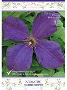 Клематис крупноцветковый (капер) Полиш Спирит 1  (артикул 10995514)  большой выбор товаров оптом и в розницу по низким ценам с доставкой