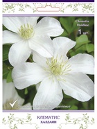 Клематис крупноцветковый (капер) Халдаин 1  (артикул 10995518)  большой выбор товаров оптом и в розницу по низким ценам с доставкой