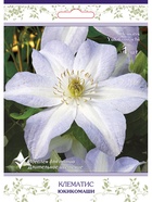 Клематис крупноцветковый (капер) Юкикомаши 1  (артикул 10995519)  большой выбор товаров оптом и в розницу по низким ценам с доставкой