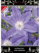 Клематис крупноцветковый (капер) Люкс (сорта, пригодные для срезки) Блю Даймонд 1  (артикул 10995521)  большой выбор товаров оптом и в розницу по низким ценам с доставкой