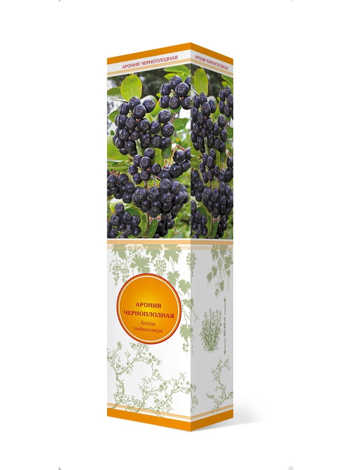 Арония черноплодная Галичанка 1, Весна 2026,