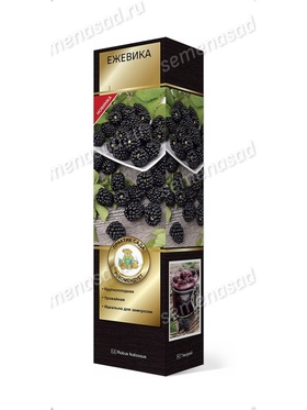 Ежевика Люкс Прайм Арк Тревелер 1