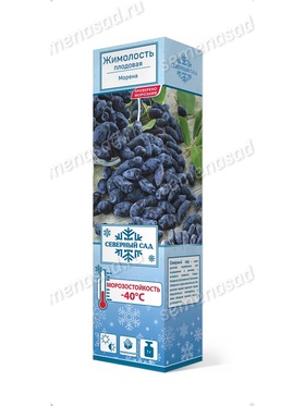 Жимолость съедобная (Серия Северный Сад) Морена 1