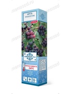 Ирга ольхолистная (Серия Северный Сад) Ханивуд 1  (артикул 10995549)  большой выбор товаров оптом и в розницу по низким ценам с доставкой