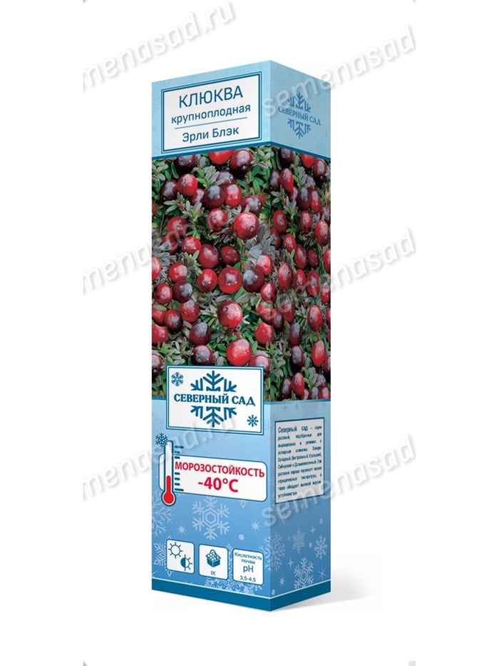 Клюква крупноплодная (Серия Северный Сад) Эрли Блэк 1, Весна 2026,